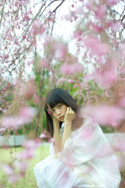 金芝荷
